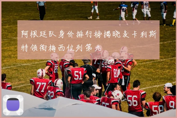 阿根廷队身价排行榜揭晓麦卡利斯特领衔梅西位列第九